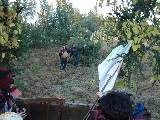 user_files/galerie/24_16_DSC06956.JPG